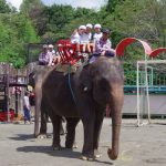 %ef%bc%91%ef%bc%94%e5%86%99%e7%94%9f%e4%bc%9a%e3%81%9e%e3%81%86%e3%81%ae%e5%9b%bd